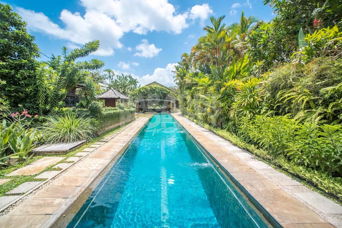 Artist's Garden Retreat Villa for Monthly Rent in Seminyak/Canggu — photo 2