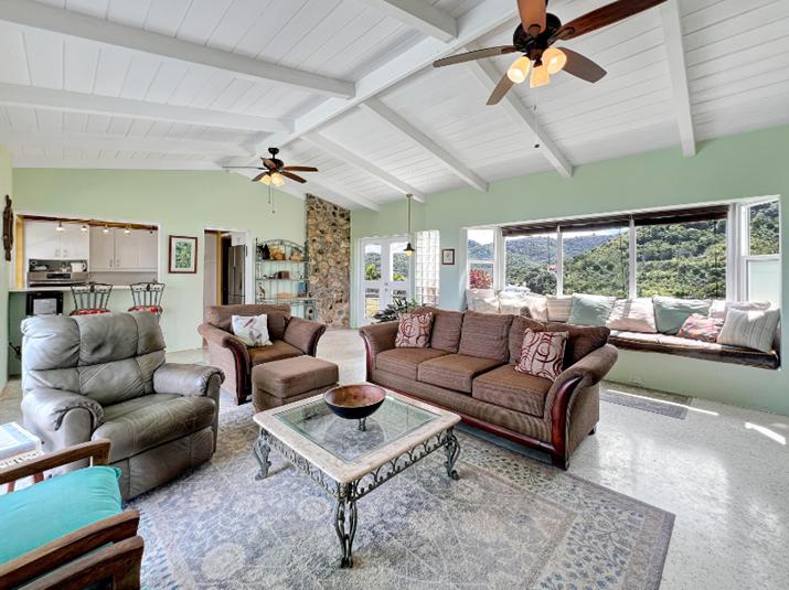 Mt. Welcome St. Croix 3BR House — photo 4
