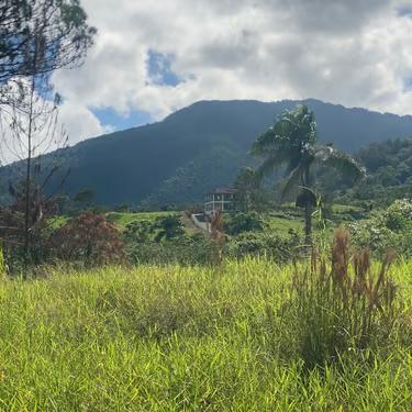 Terreno en Venta, Pedregal Jarabacoa - 1996 Metros — photo 4