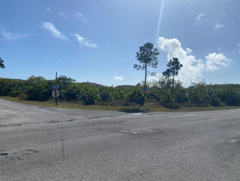 Freeport 1 Acre Corner Lot — photo 2