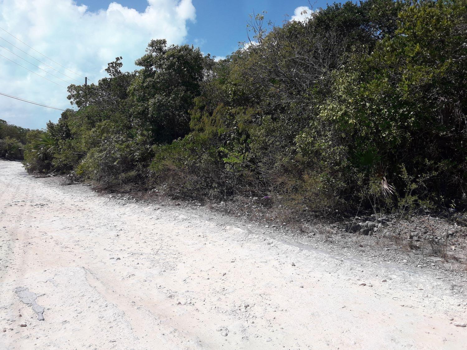 Bahamas Sound 14 Land Lot — photo 4