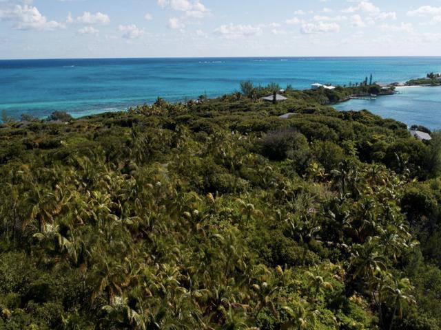 THE REACH in Abaco Islands, The Bahamas — photo 1