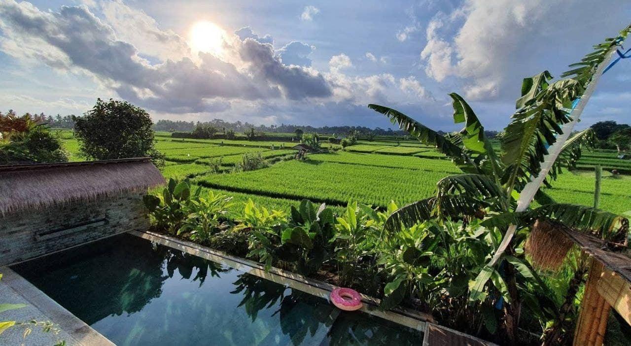 3-bedroom villa in Ubud — photo 2