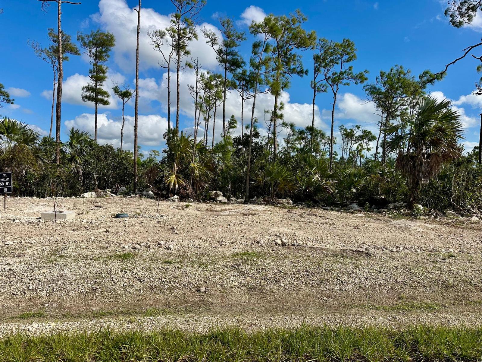 Windsor Lakes Bahamas Lot 140 — photo 2