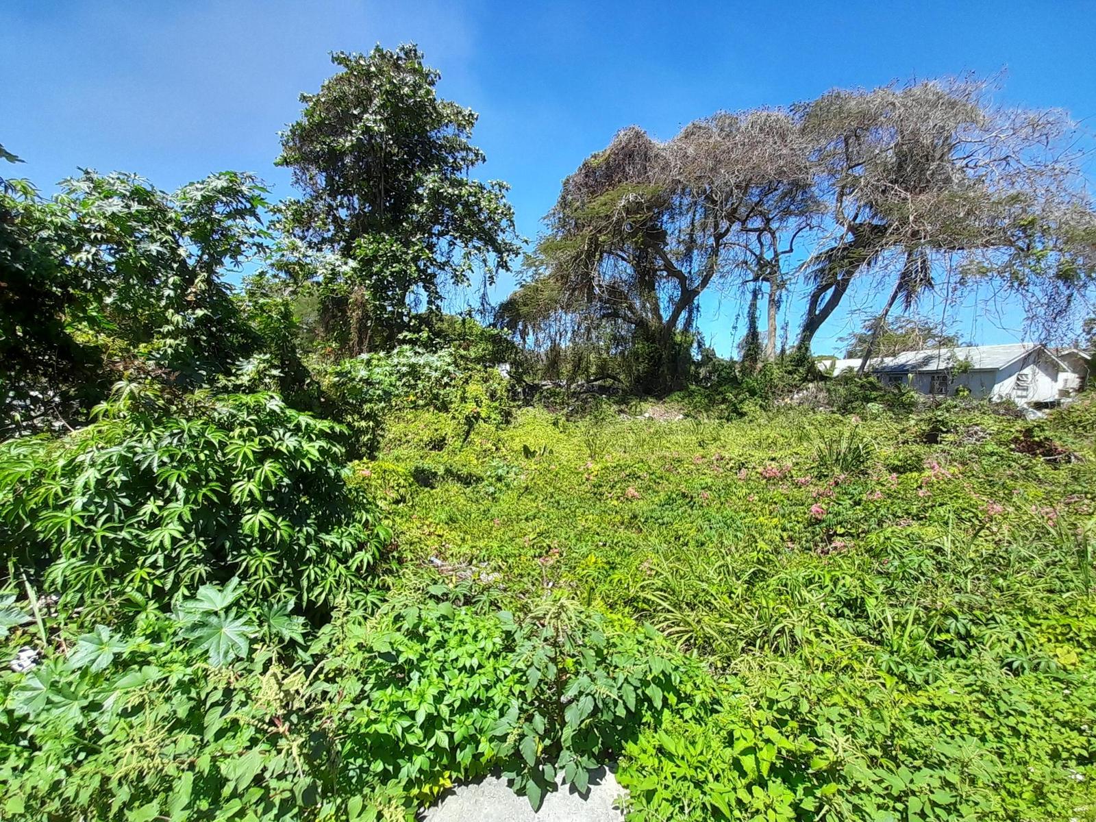 BALDWIN AVENUE — photo 3