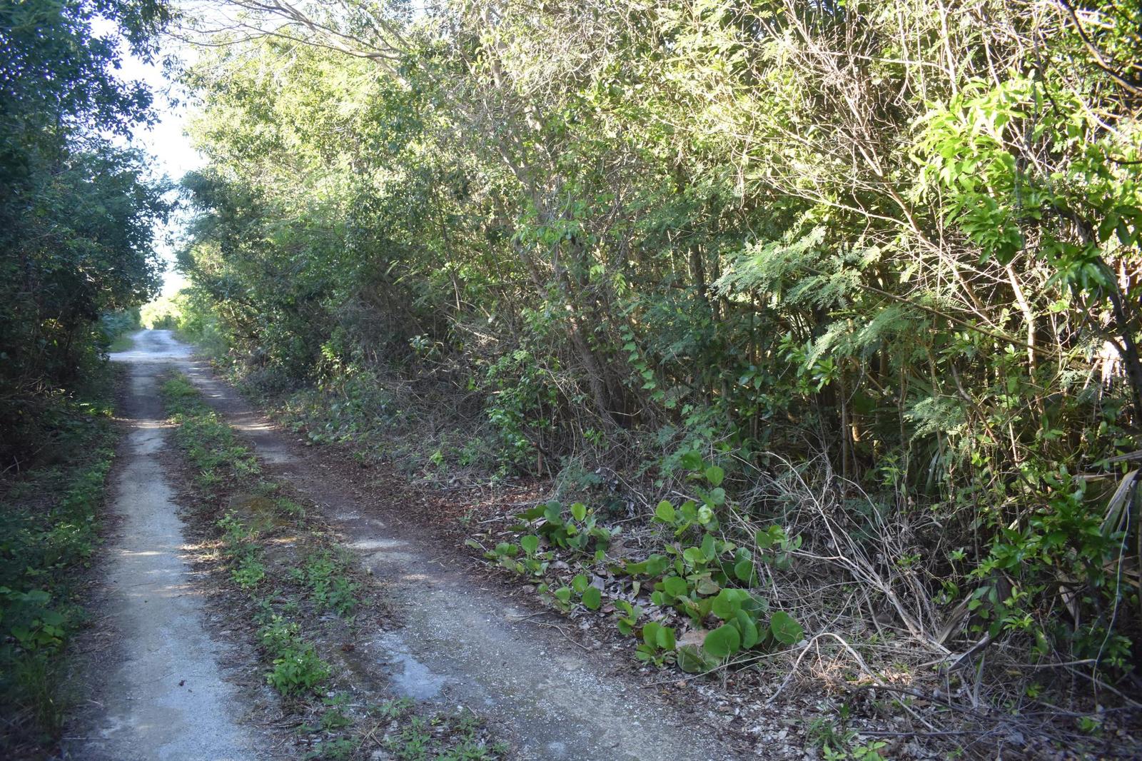 WHALE POINT ESTATES — photo 2