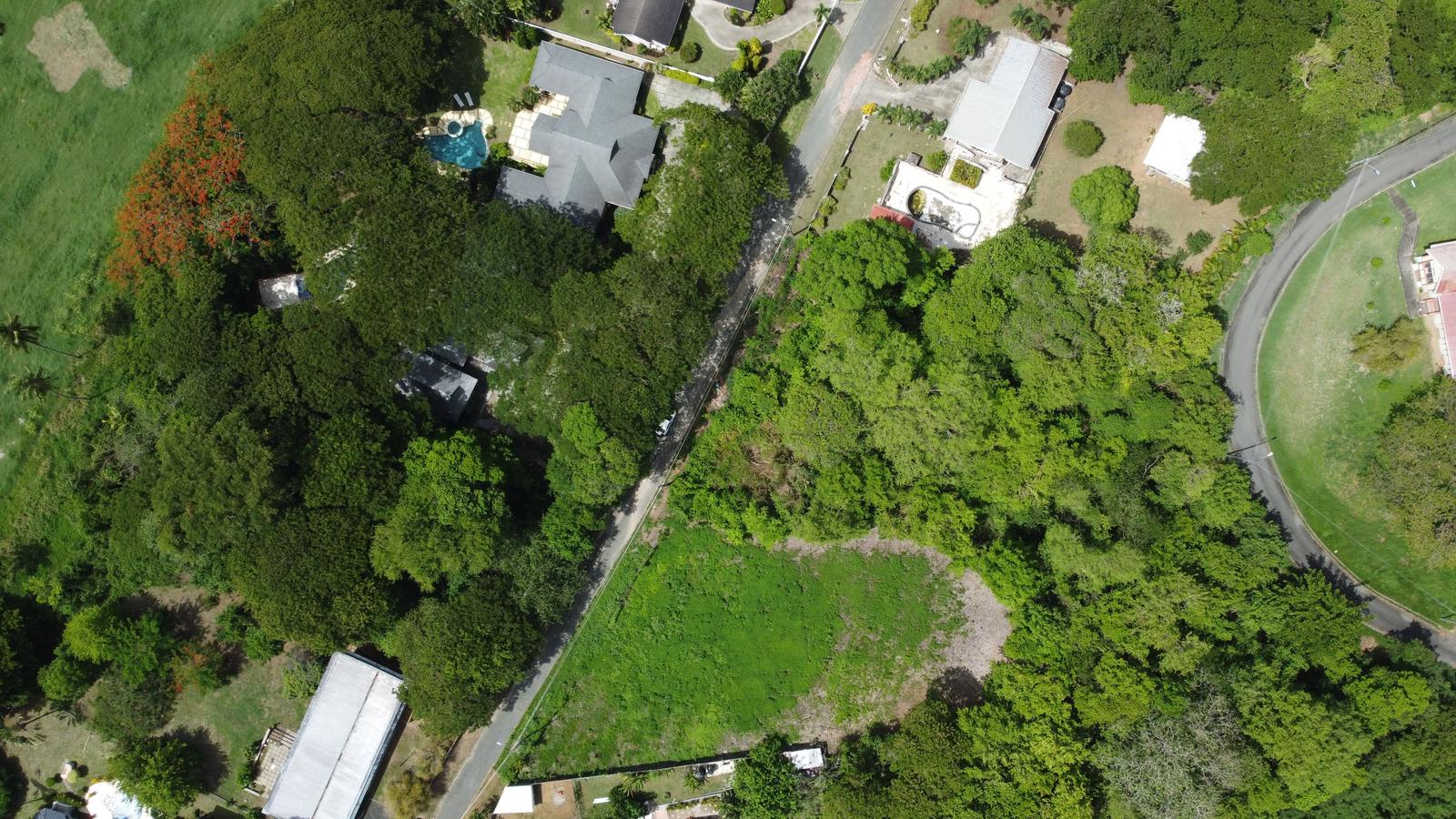 Prime Tobago Land Overlooking Mt. Irvine Golf Course — photo 5