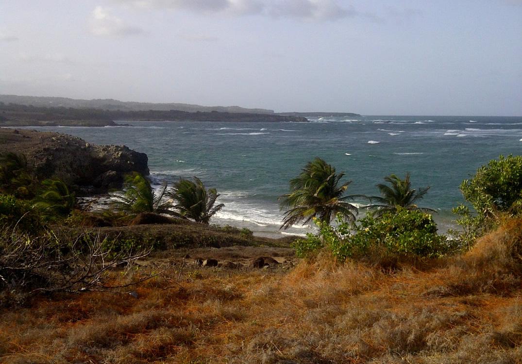 33.2 Acres Beachfront Land for Sale, Cannelles, Vieux Fort, St Lucia — photo 2
