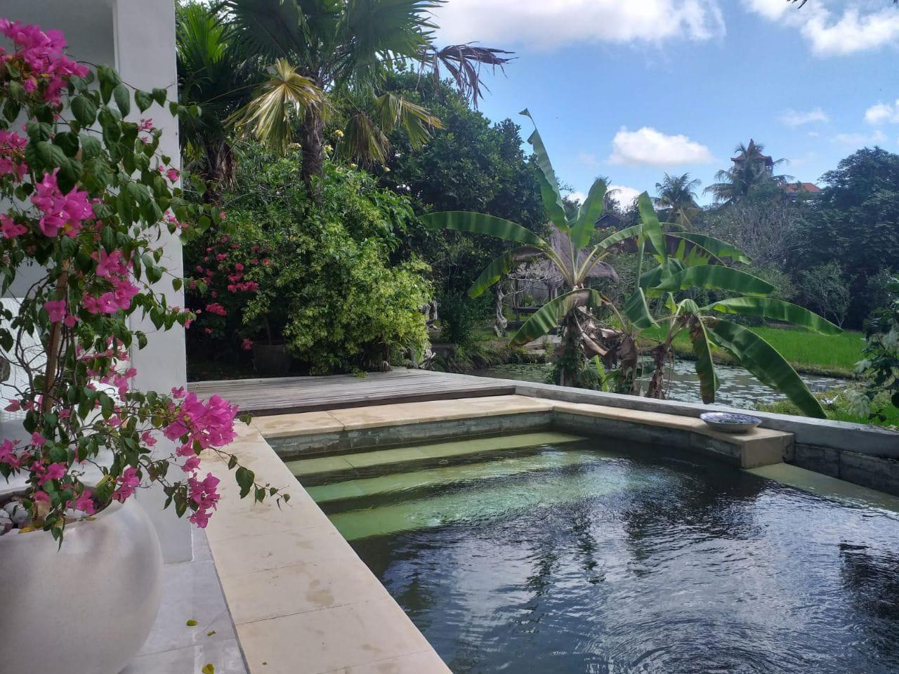 Modern Beautiful 3 Bedroom Villa – South of Ubud – Rice Field Views — photo 1