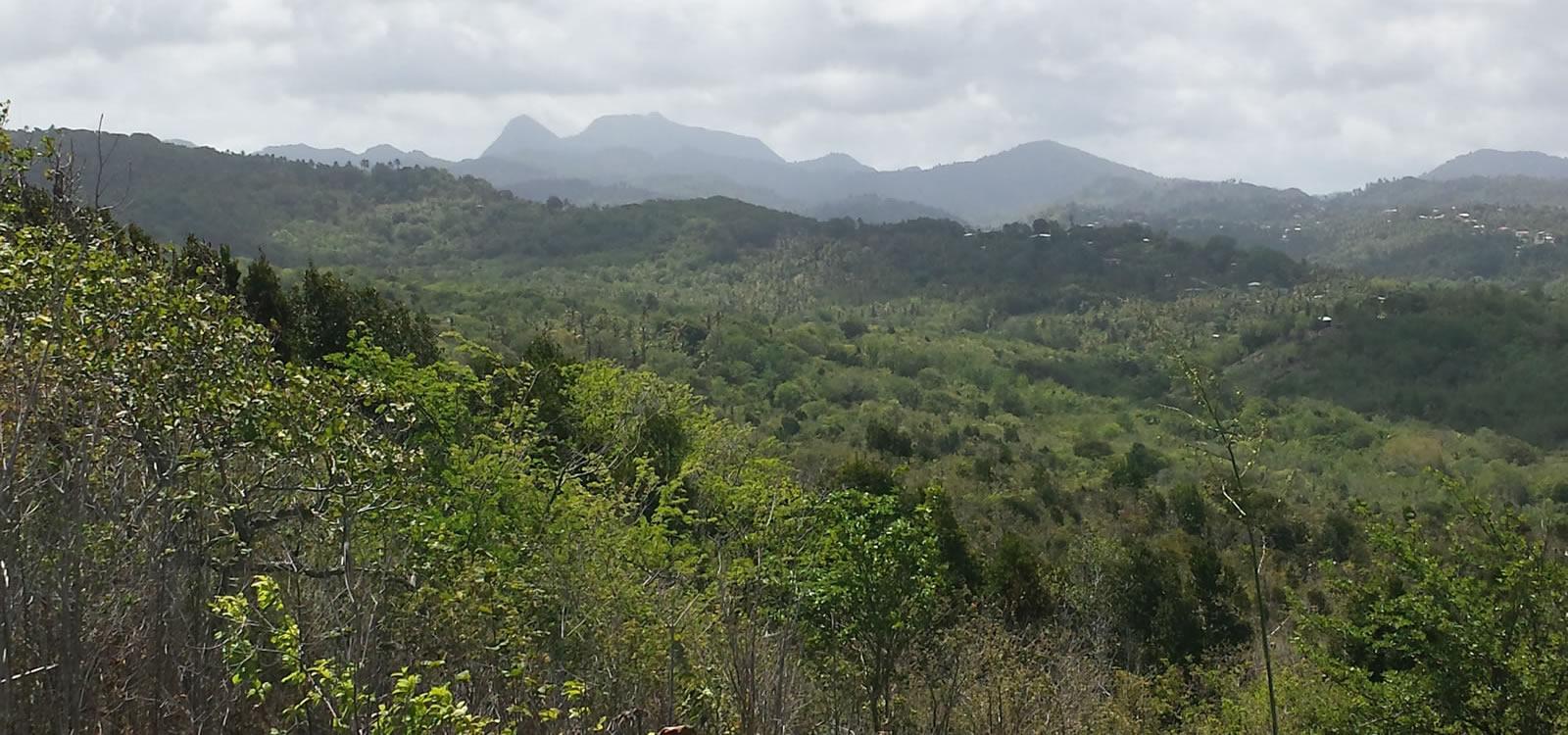 7.5 Acres of Beautiful Land for Sale in St Lucia — photo 4
