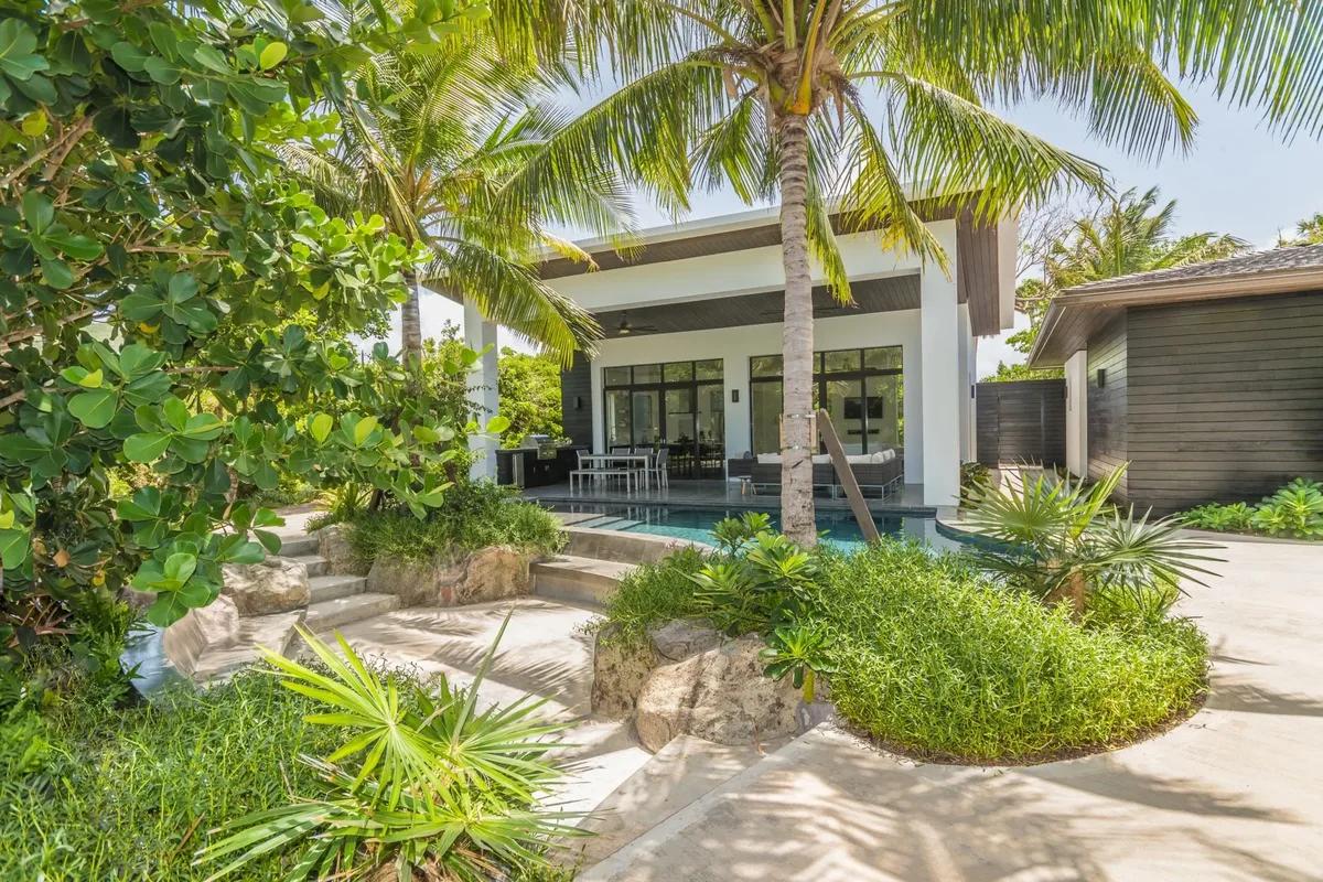 A modern villa and its pool seen through sea grape leaves and palms
