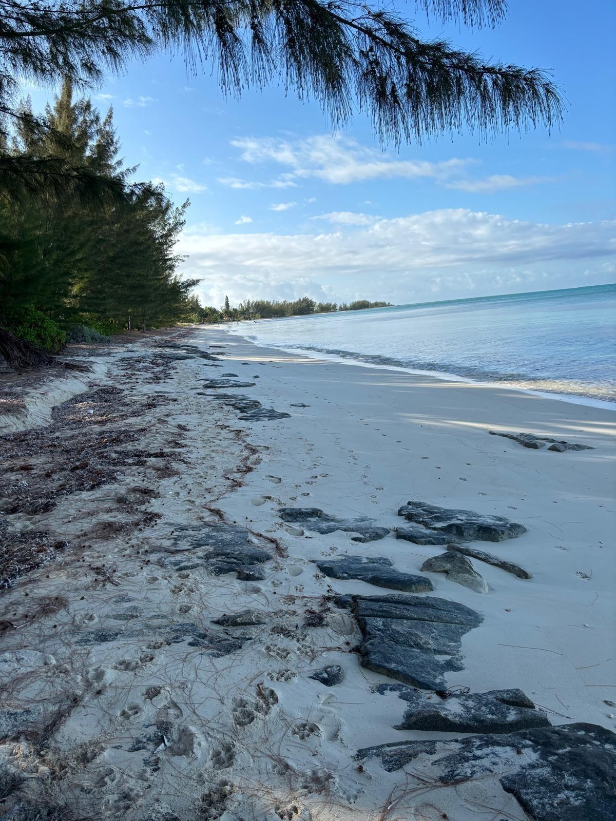 3 bedroom Residence for sale — 5 ACRES IN SANDY POINT, A in Abaco Islands, The Bahamas — photo 4