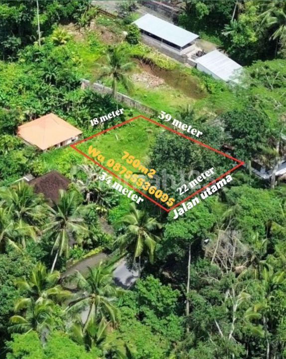 750 sqm land plot in Ubud, close to Capella Ubud — photo 4