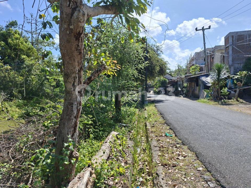 Land Parcel for Sale in Bali, Indonesia — photo 2