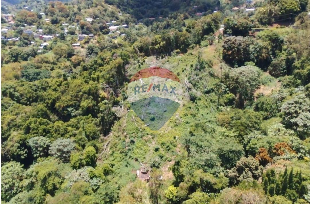 BELMONT 1-ACRE LOT — photo 3