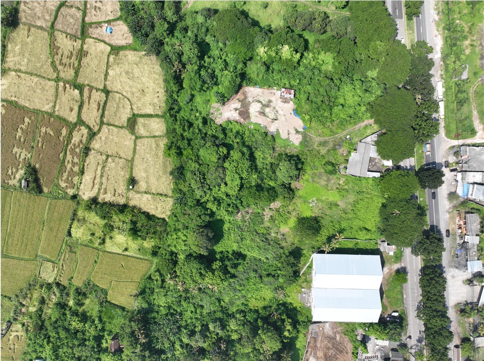 Land for Sale in Keramas, Gianyar – Strategic Investment Opportunity — photo 4