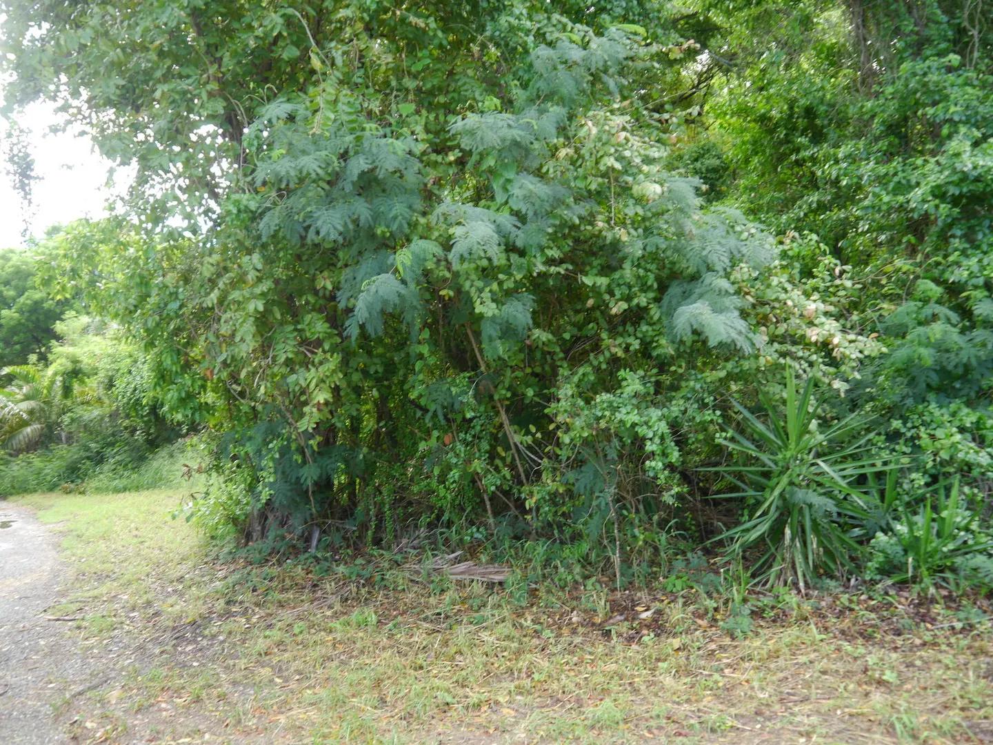 11a Little Princesse Co Homesite — photo 5