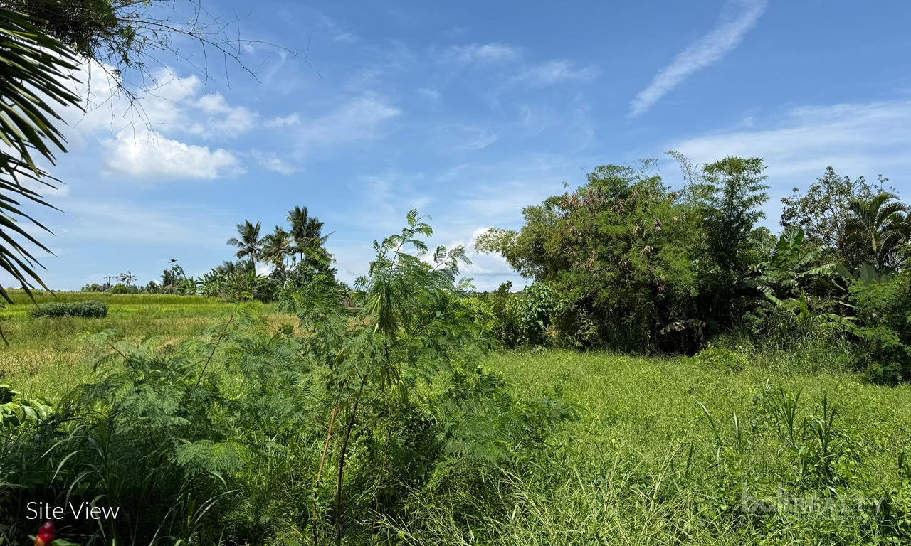 Ready-to-Build 430 sqm Plot Near Tanah Lot with Lush Rice Field Surroundings — photo 1