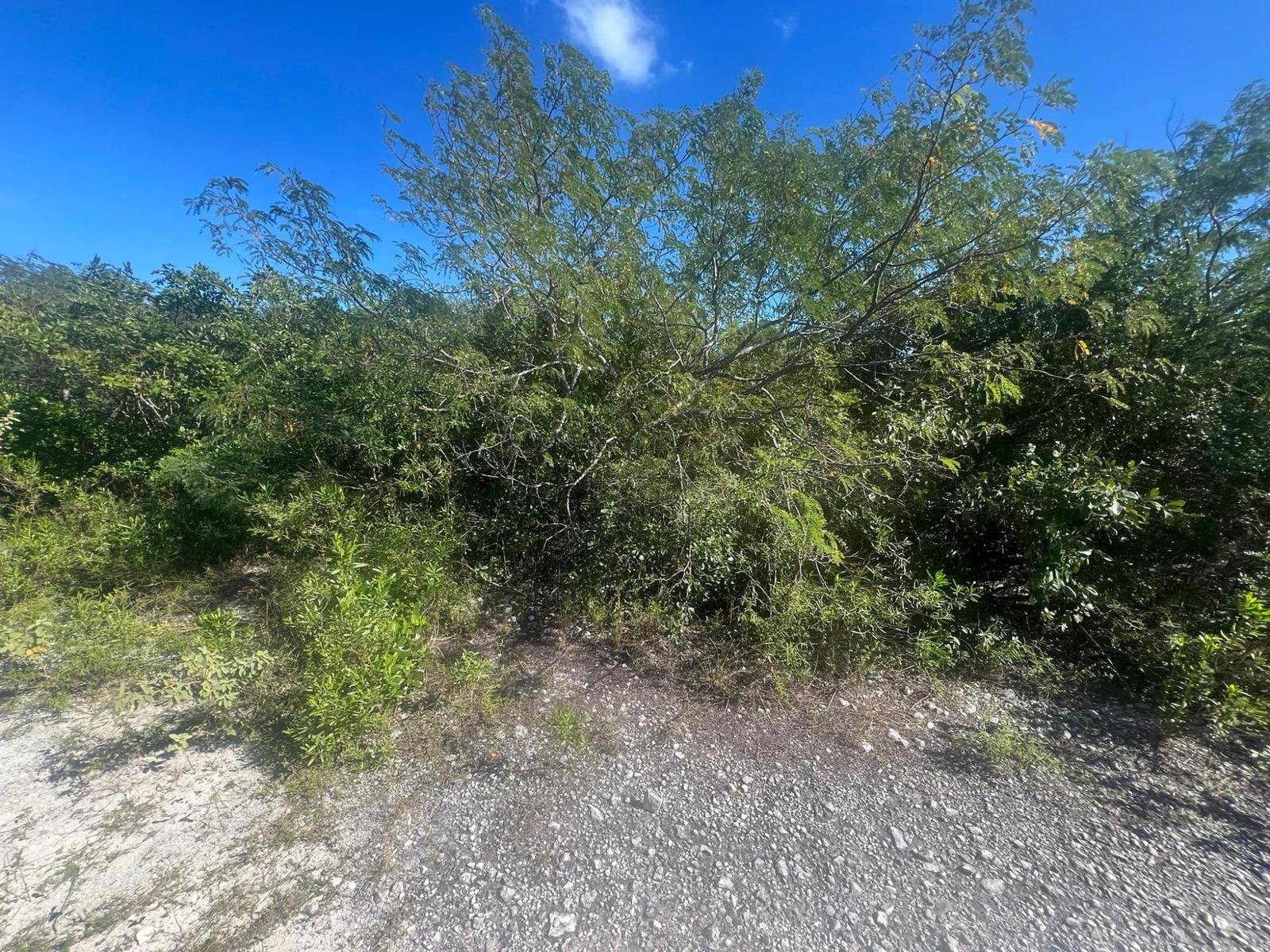 SANDALWOOD ROAD, — photo 1