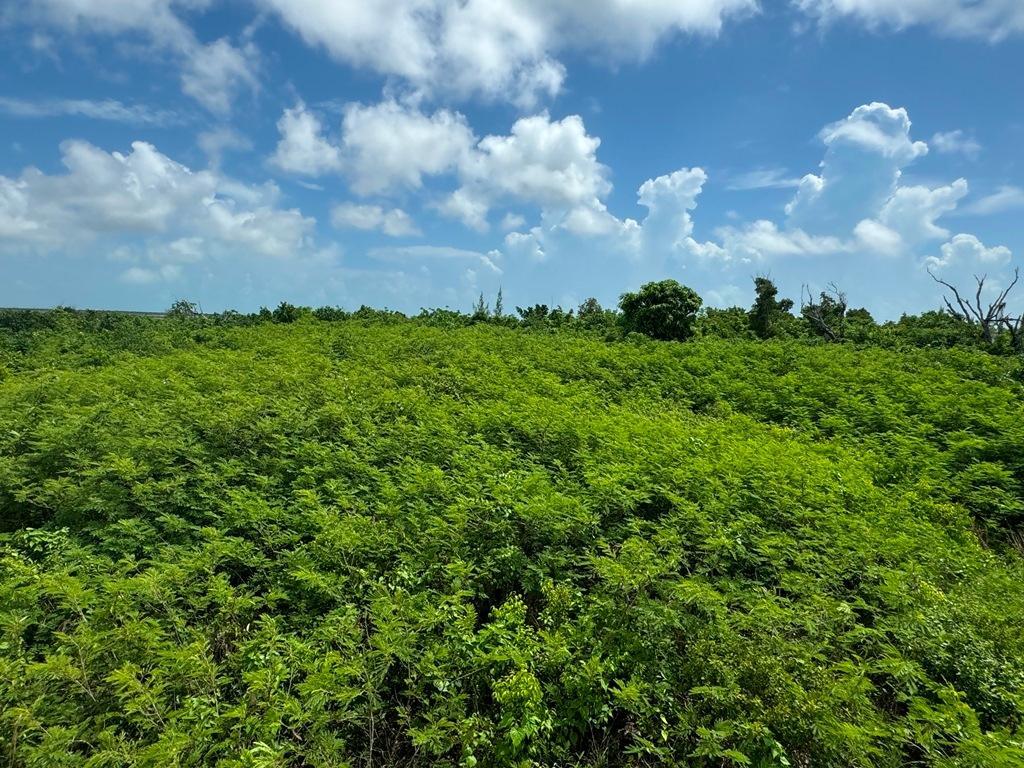 38B SWEETINGS CAY — photo 3