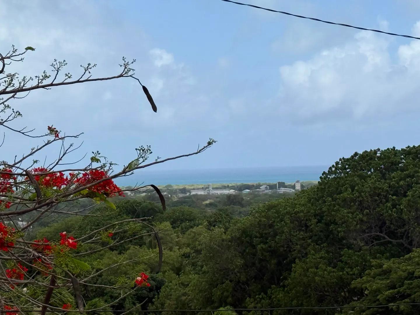 1 Acre Homesite Lot with Sea Views in St. Croix — photo 1