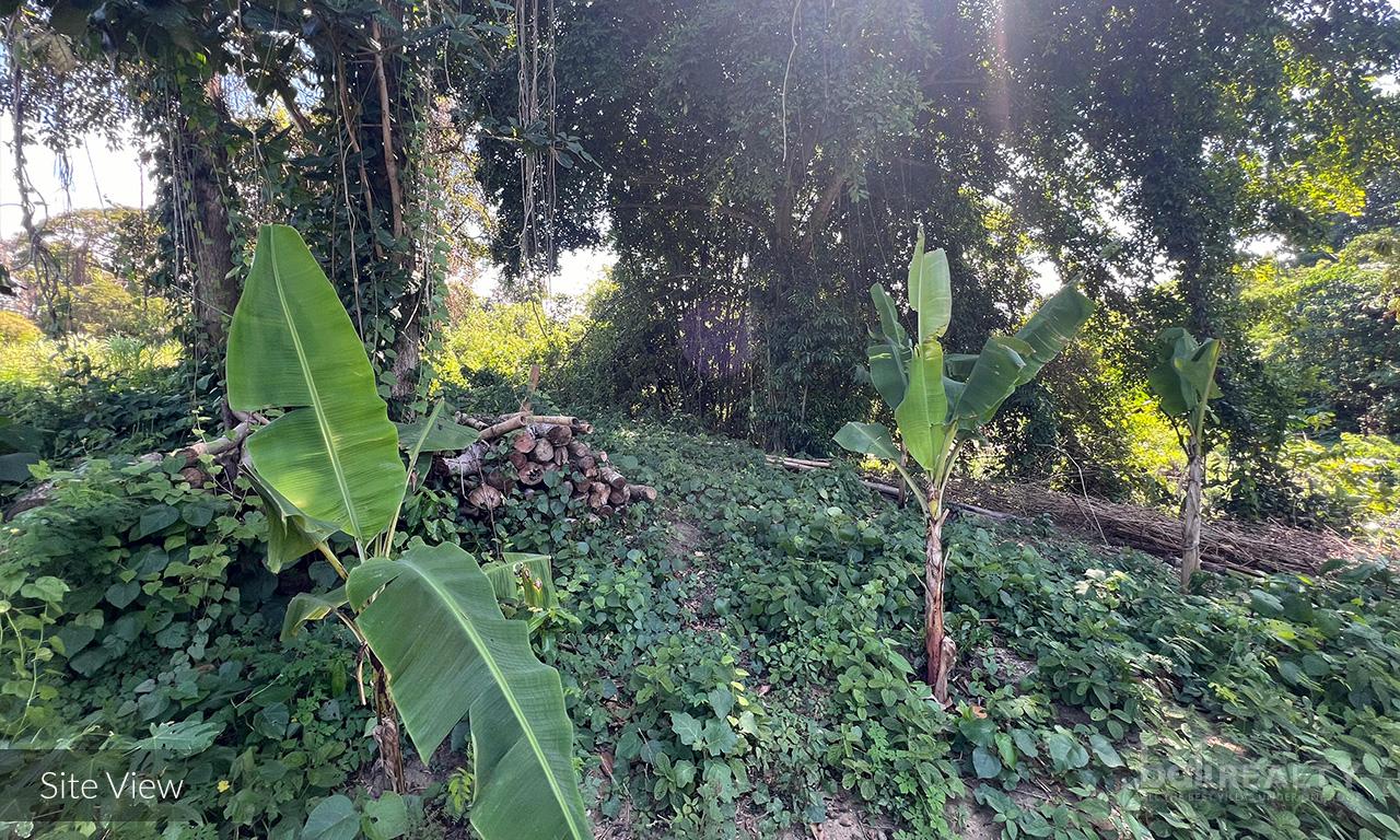 Premium Investment: 3710 sqm Freehold Riverfront Land in Padang Galak, Sanur — photo 4