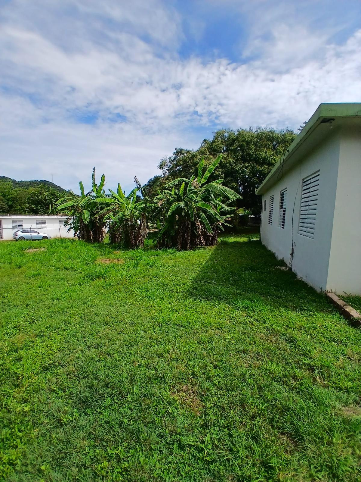 Single-story house on 1284 square meters — photo 3