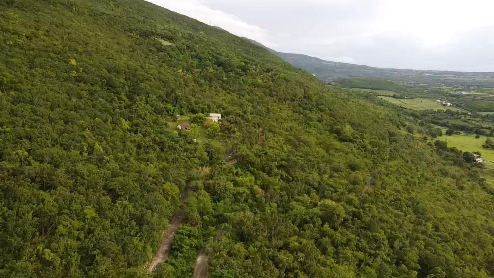 LAND PART OF MALVERN WELL St. Elizabeth Malvern Well — photo 3