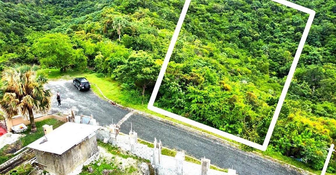 0.51 Acre Lot for Sale in Anchor, Culloden, Westmoreland, Jamaica — photo 3