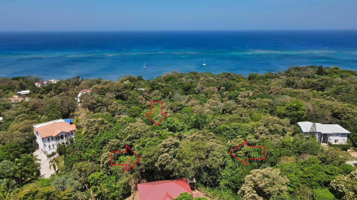 The Banks Roatan 0.21 Acre Opportunity at Orchid Beach — photo 3