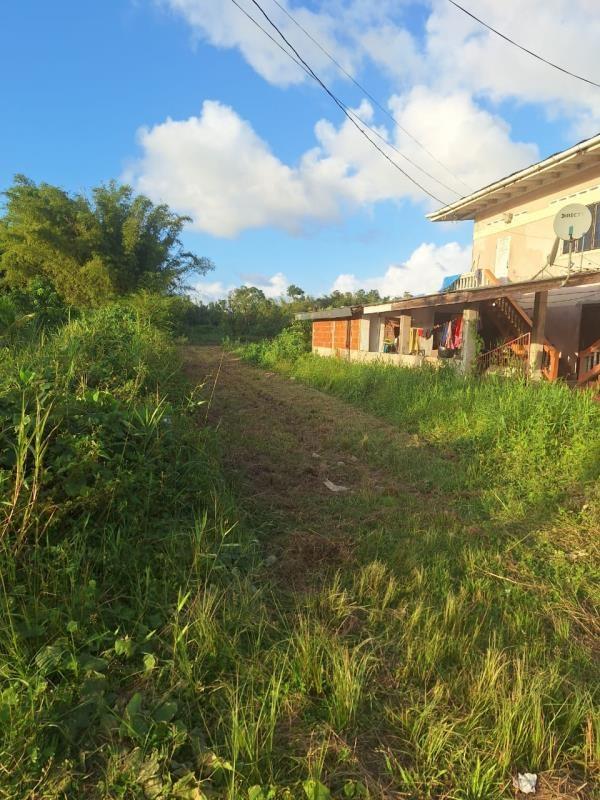 Pre Sales Lots for Sale in Oropouche Sangre Grande — photo 2