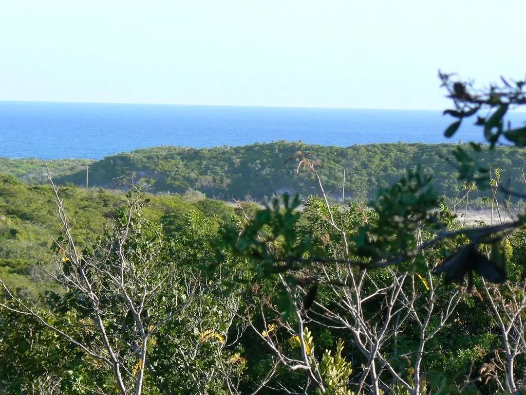 Plot in Line Bay Subdivision, Long Island — photo 2