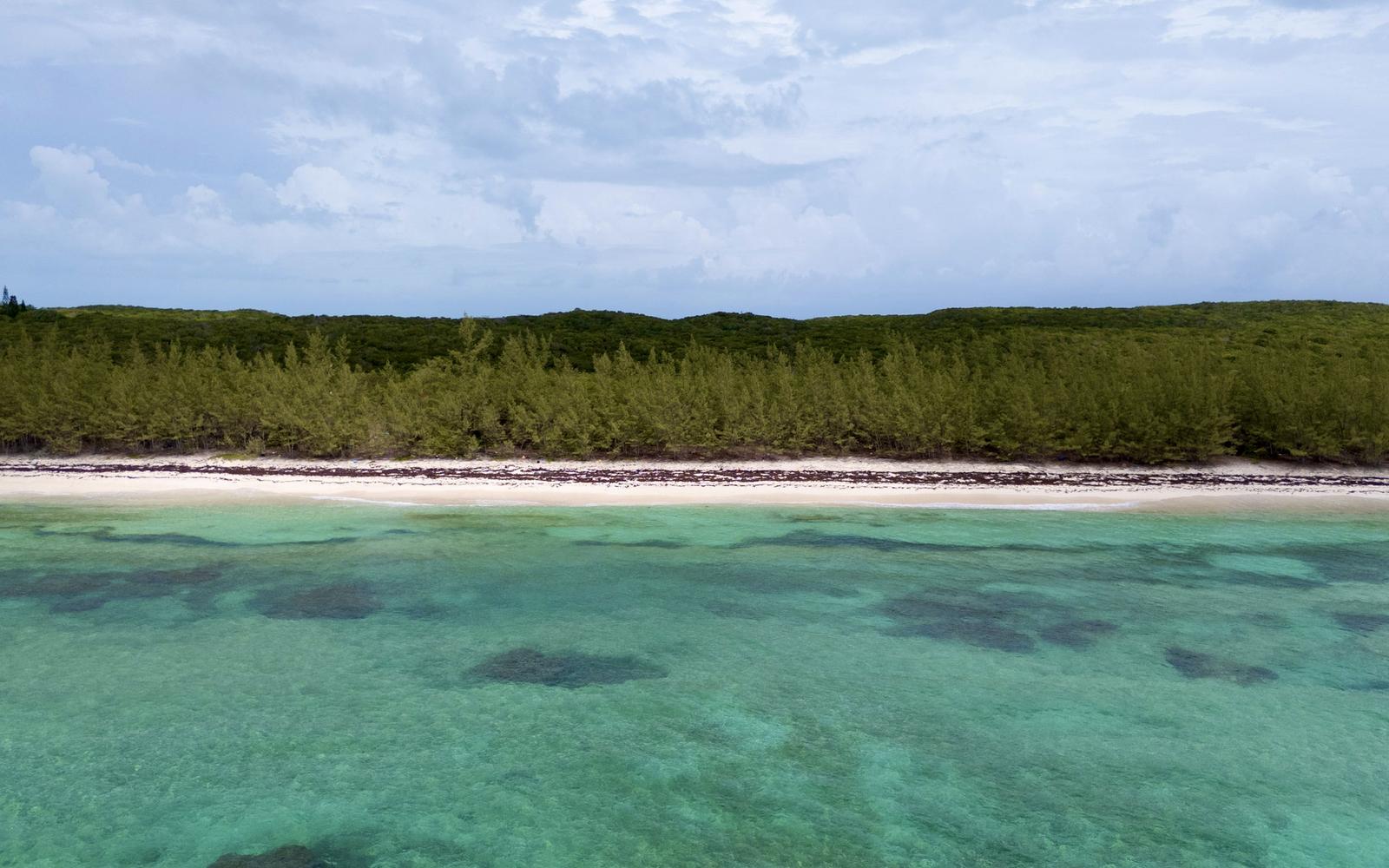 Untouched Atlantic Beach, 25 Acres - MLS 67128 — photo 3