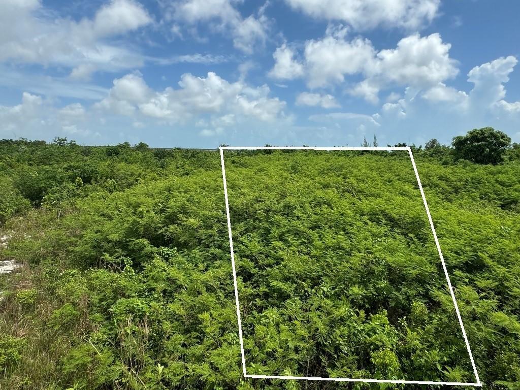 38B SWEETINGS CAY — photo 1