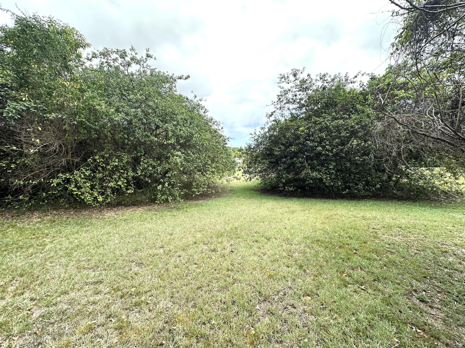 0.56 Acre Homesite in Queen's Quarter — photo 5