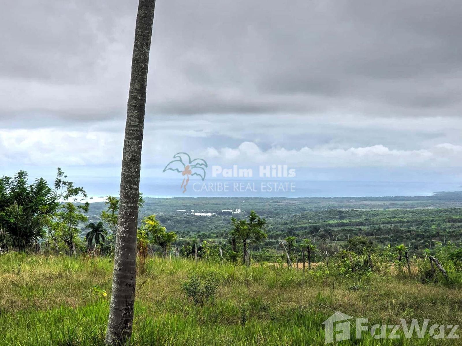 Residential Land for Sale in San Felipe De Puerto Plata — photo 4