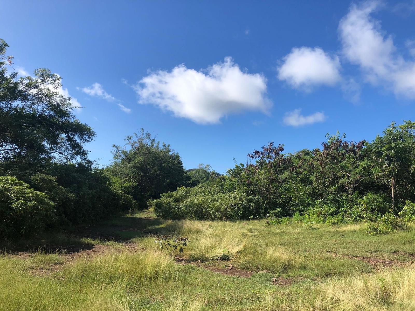14 Acres Development Land in Gingerland, Nevis — photo 5