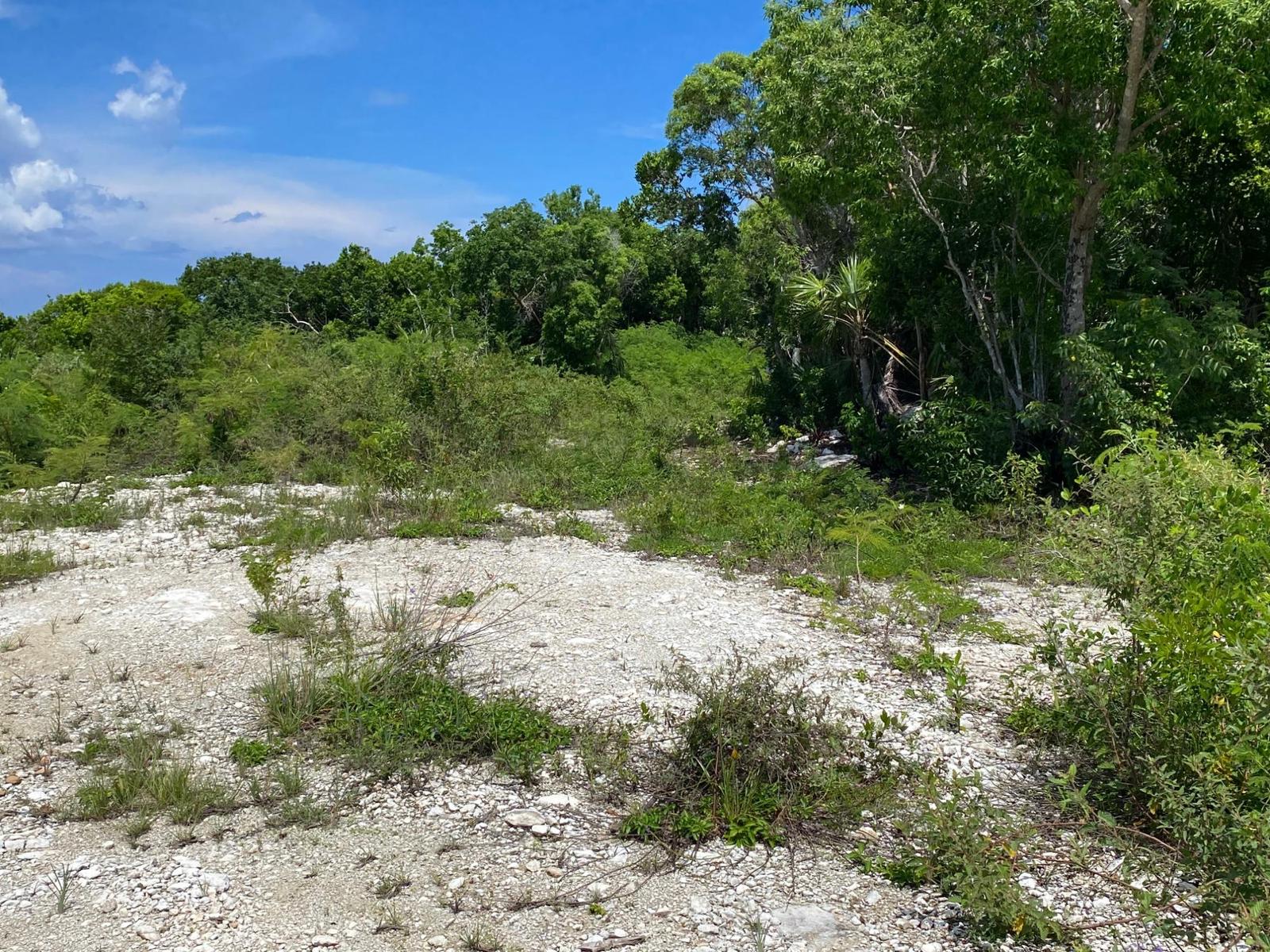 ELEUTHERA ISLAND SHORES — photo 4