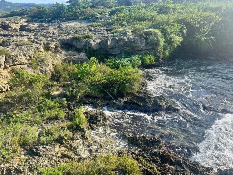 Trelawny Oceanfront 3.3 Acre Lot — photo 5