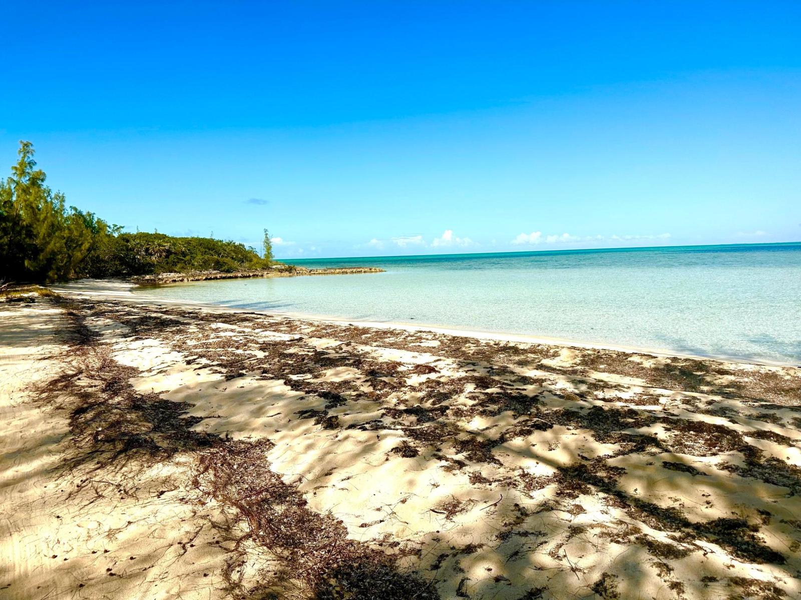 GREEN CASTLE 12-ACRE LOT — photo 4