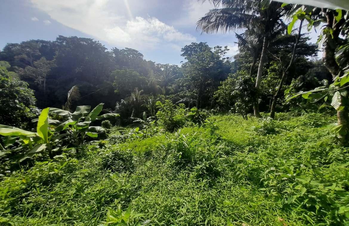 Prime Riverfront Land in Buwit — photo 1