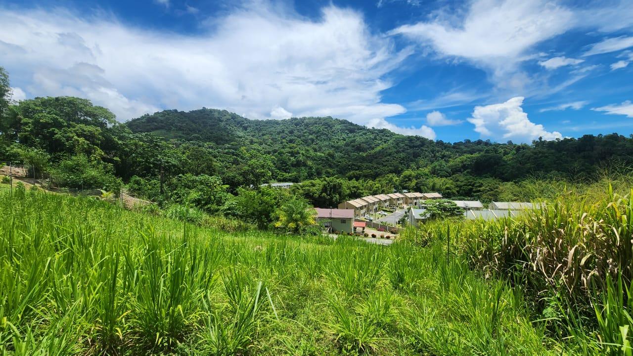 Arima Land for Sale — photo 3