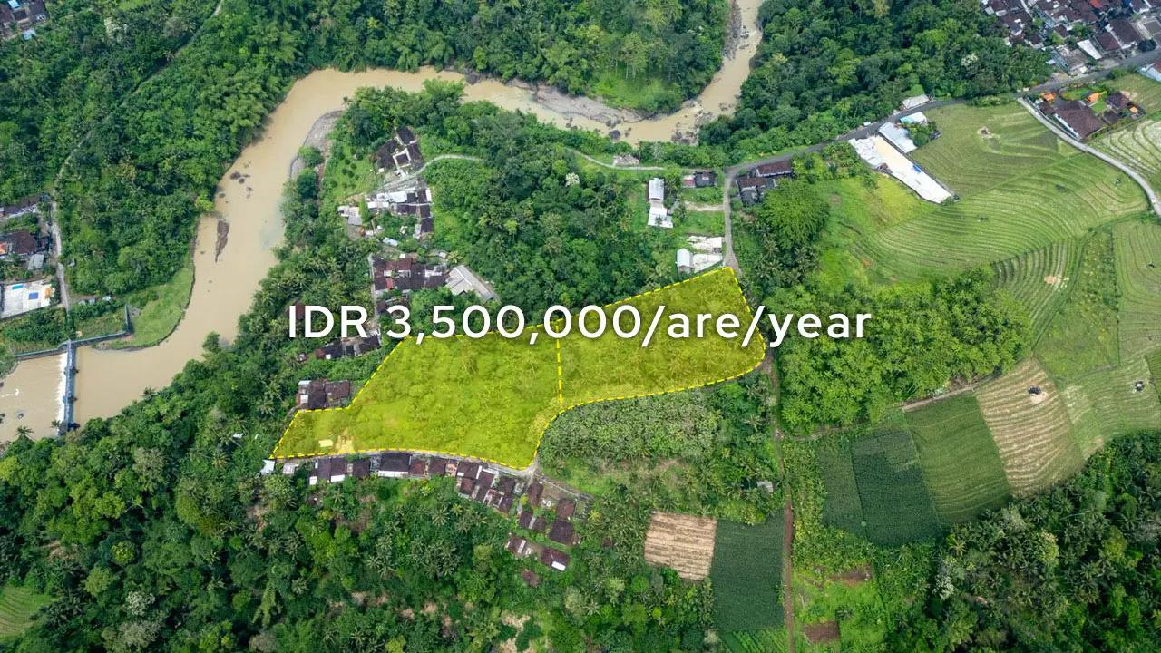 Prime Jungle Land for Sale Tabanan – Rare 80-Year Leasehold Opportunity — photo 1