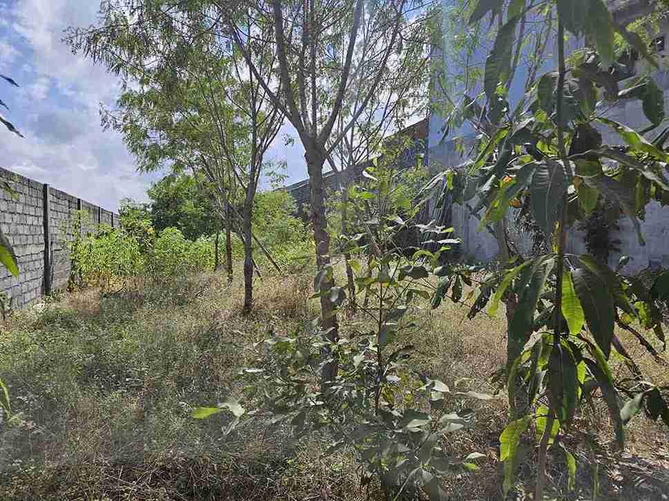 Strategic Commercial Land Fronting Bypass Pemogan, Denpasar, Bali — photo 4