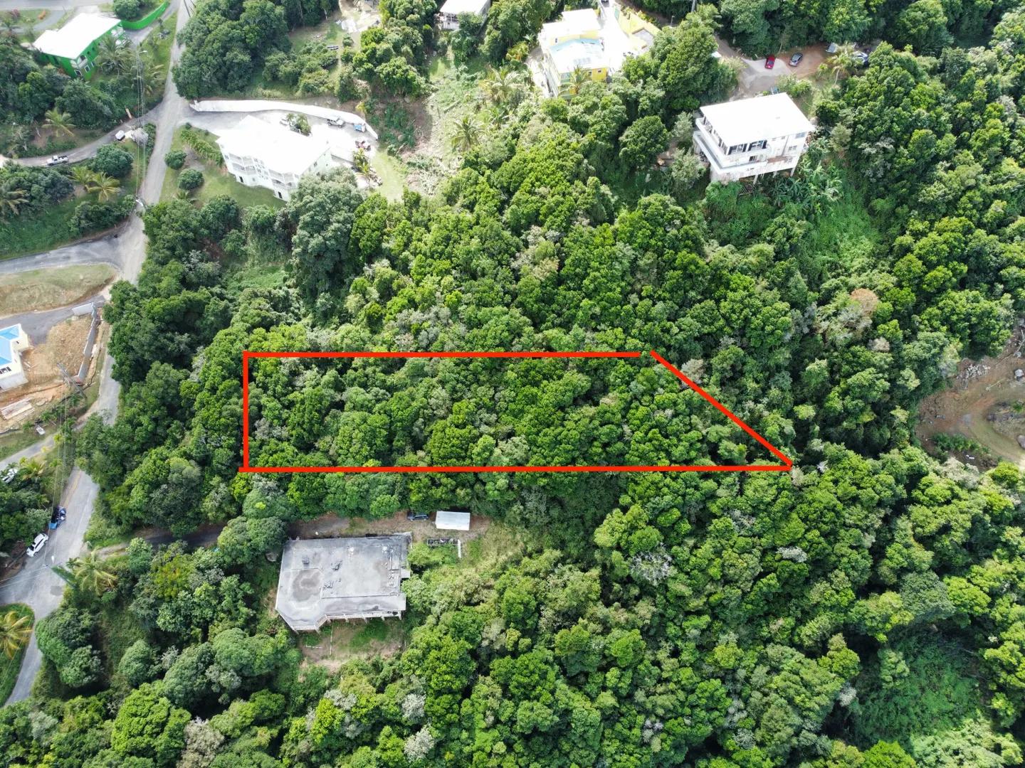 0.65 Acre Homesite Lot in St. Thomas — photo 2