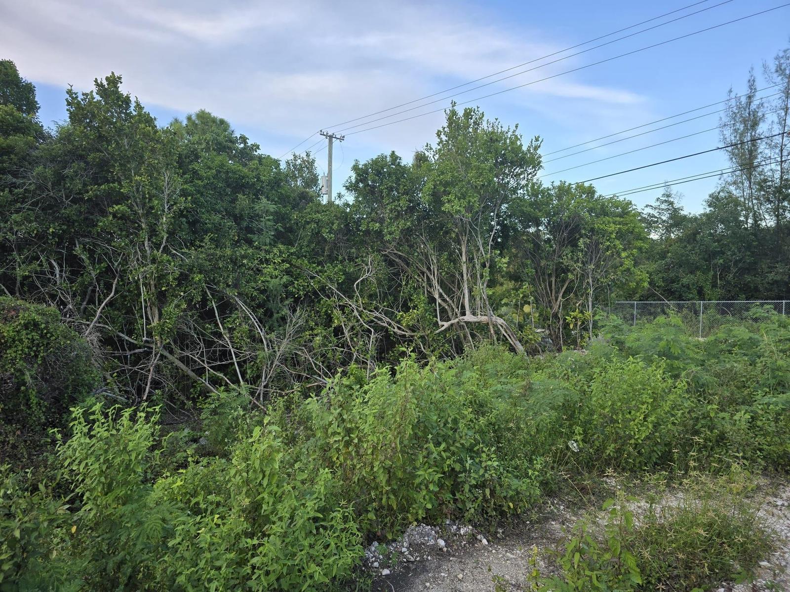 4A BOATSWAIN HILL EAST — photo 4