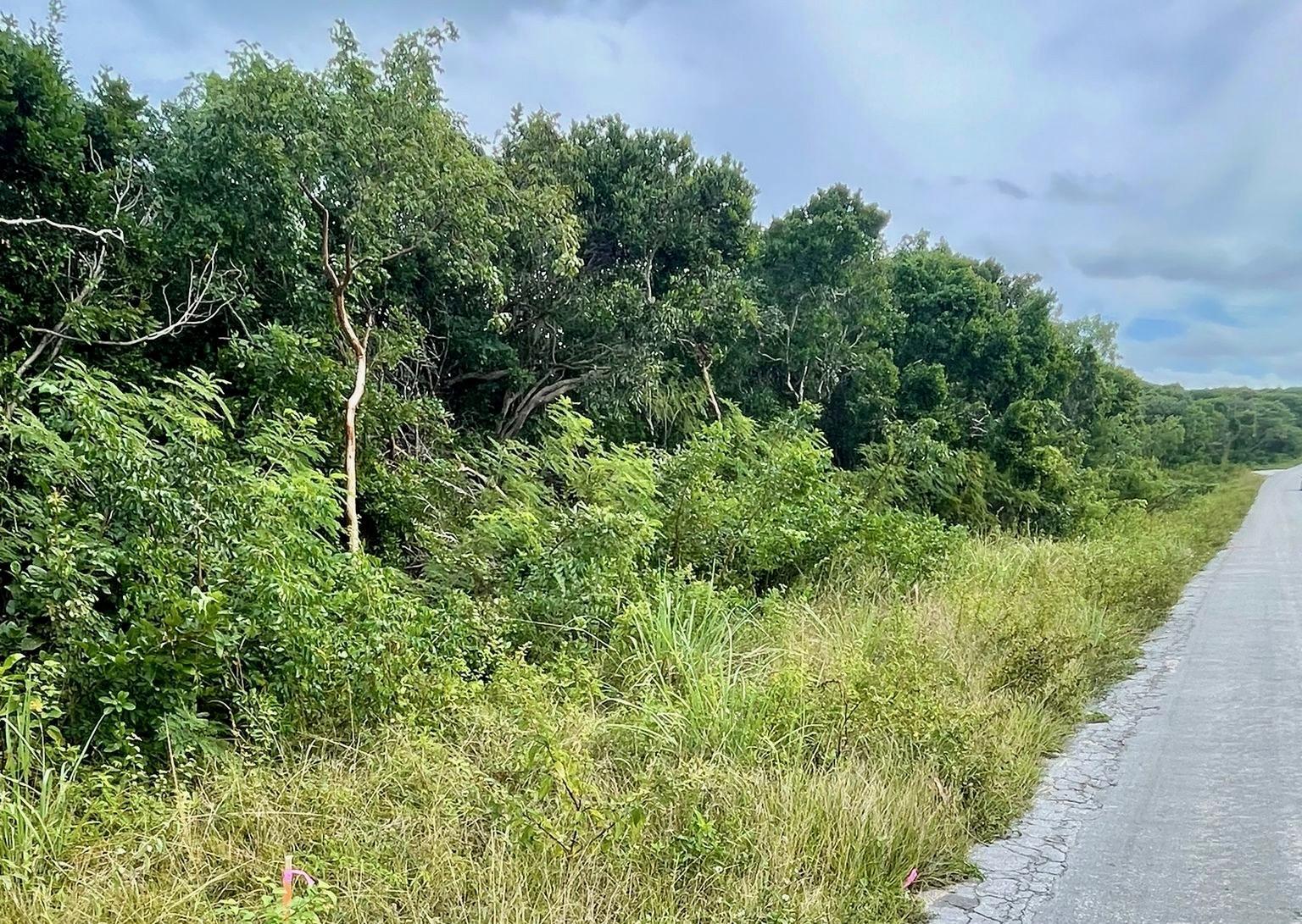 Governor's Harbour Land Lot — photo 1