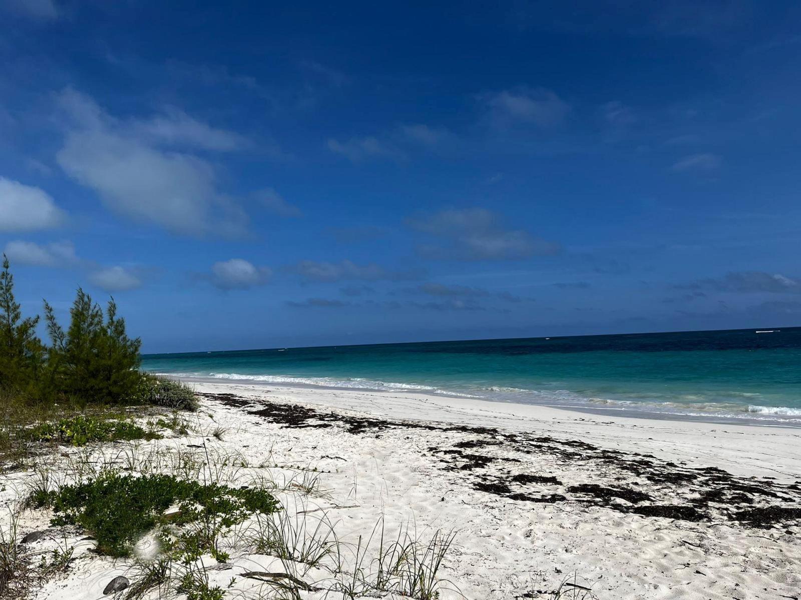 LOT 25 BAHAMA PALM SHORES — photo 5