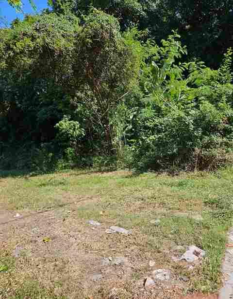 Strategic Land Investment Opportunity Near Sanur, Bali — photo 5