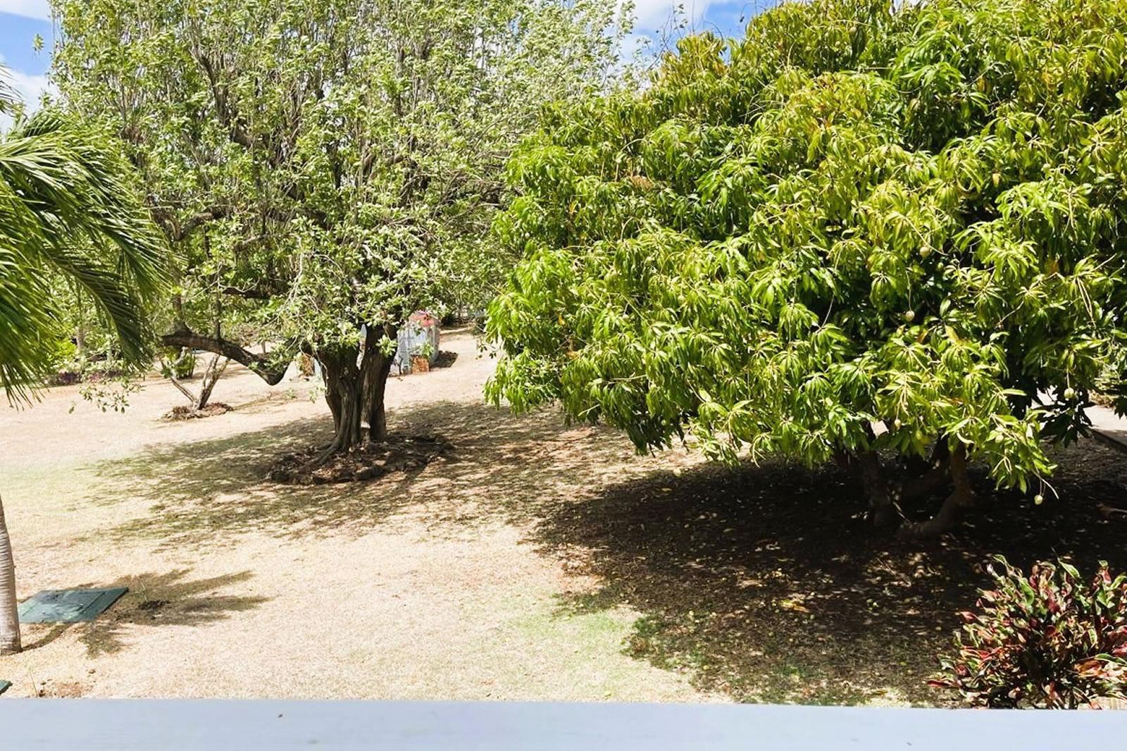1 Bedroom Condo for Sale, Gate Park, Cap Estate, St Lucia — photo 4